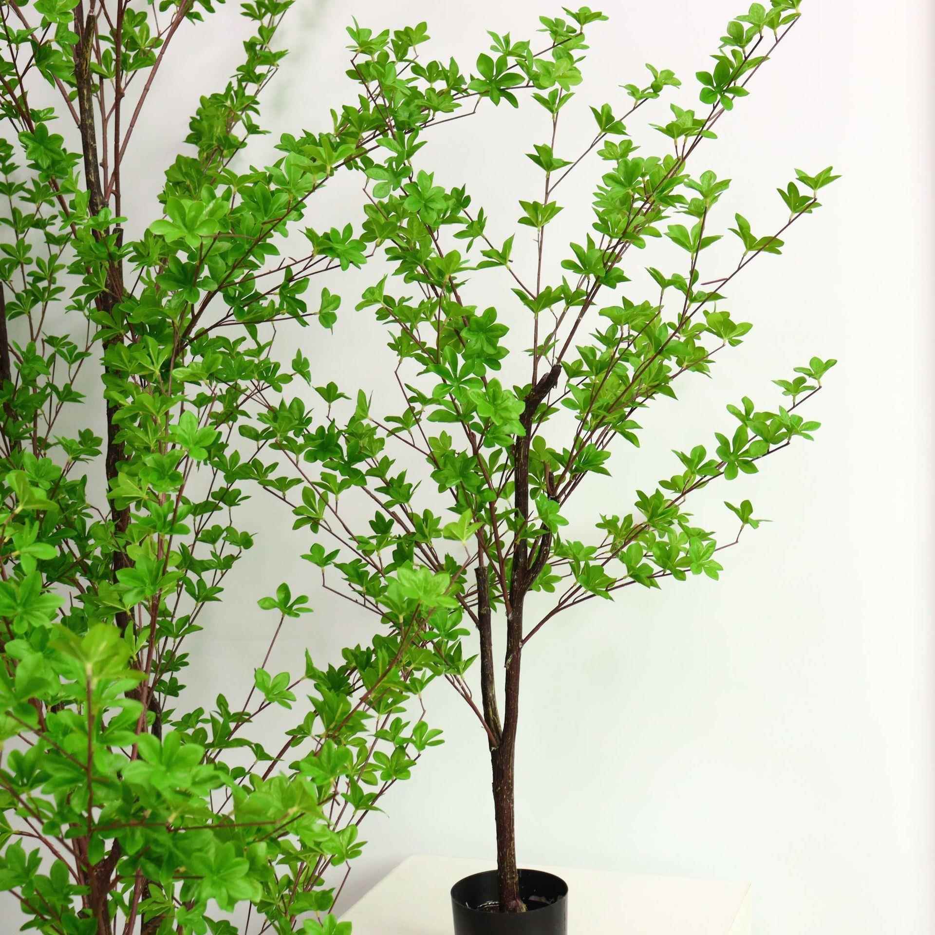 吊钟树马醉木造型树室内装饰绿植摆件盆栽假树植物造景真婚庆