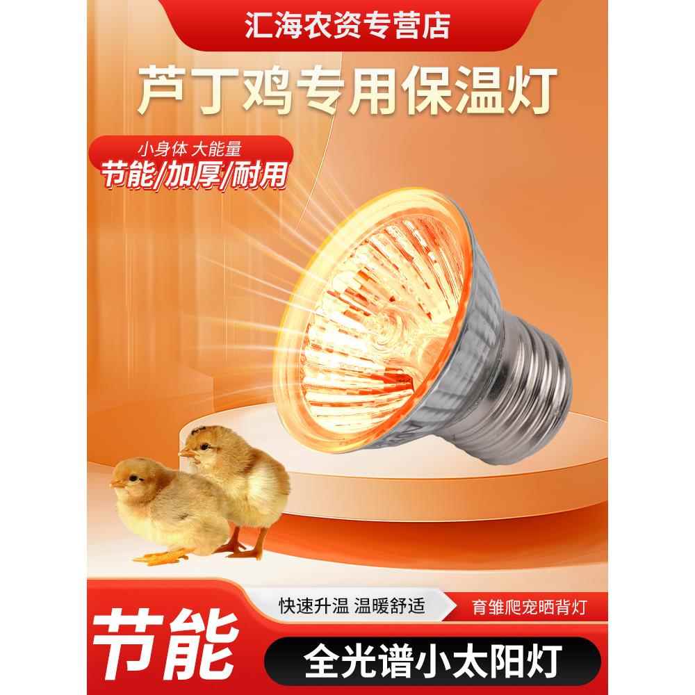 芦丁鸡保温灯小鸡育雏取暖灯乌龟晒背太阳灯爬宠过冬神器保暖灯泡