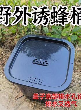 中蜂诱蜂桶土蜂养蜂桶黑色塑料桶引蜂蜜蜂桶中锋方形诱蜂桶带盖子