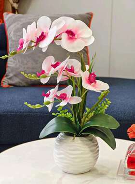 仿真蝴蝶兰白色螺纹盆摆设餐桌客厅盆栽装饰绿植装饰花中国风