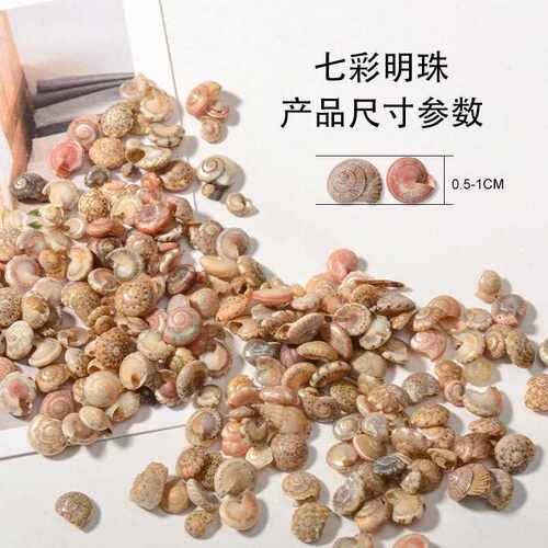 彩色L003海螺小螺明珠螺 许蟹愿漂流瓶di月y材寄居替换料胶滴胶小