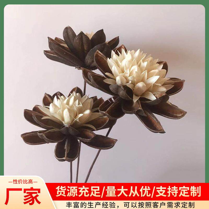干花帝王花云南手工组合干花套装酒店会所软装插花木棉花