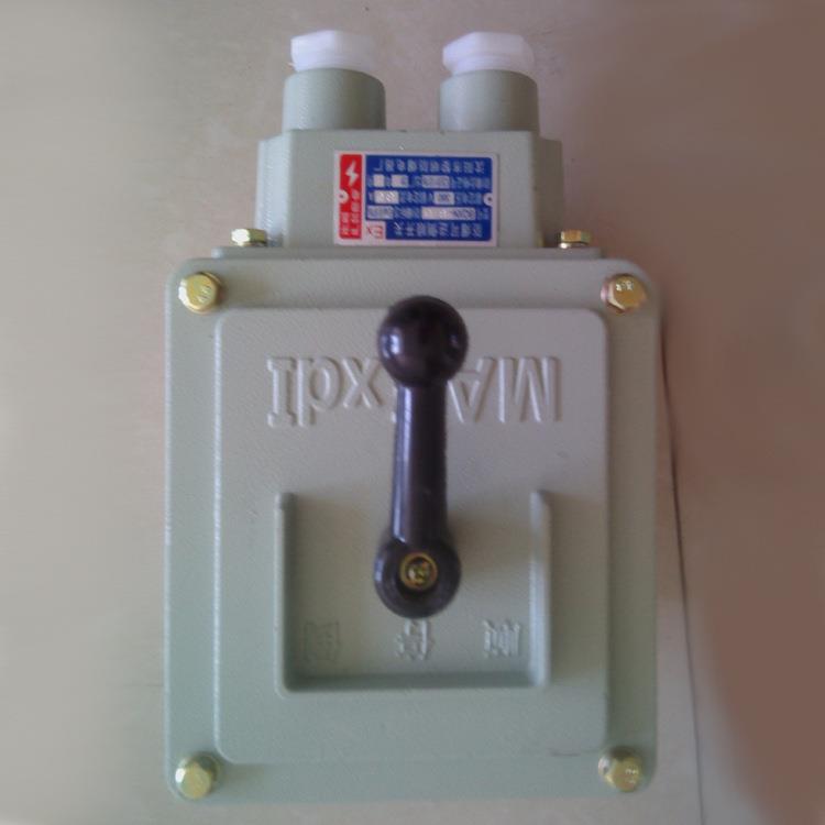 BHS系列防爆正反转开关 BQXN60/100A(大)型防爆倒顺开关