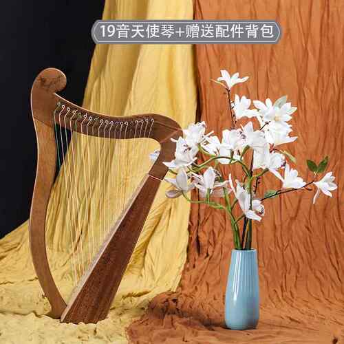 正品新款琴单板古里拉lyre小典便携式琴24弦专业月牙儿竖童冷门莱