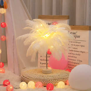 led遥控羽毛台灯 创意抖音房间ins风装饰品卧室布置彩灯小夜灯