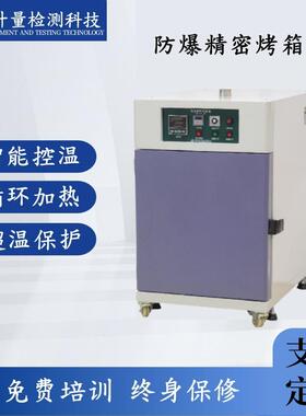 137L300℃模拟长时间极端高温加速老化试验箱高温大容量精密烤箱