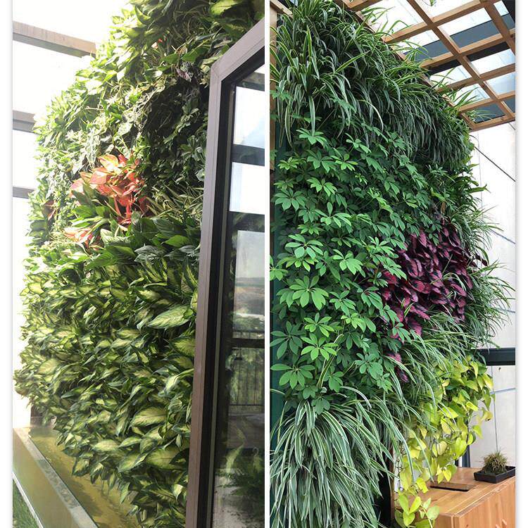 垂直绿化植物墙庭院绿化室内植物墙室外壁挂式墙体绿化多肉植物墙