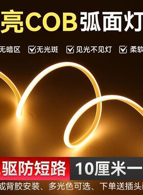 新款超亮C软OB线型软吊灯带户外用防水高压220家客EWE厅卧室房顶