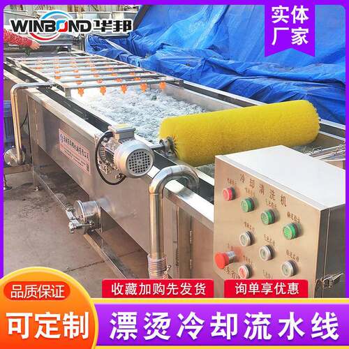 商用蘑菇漂烫机 全自动预煮漂烫冷却流水线 厂家生产杏仁漂烫机