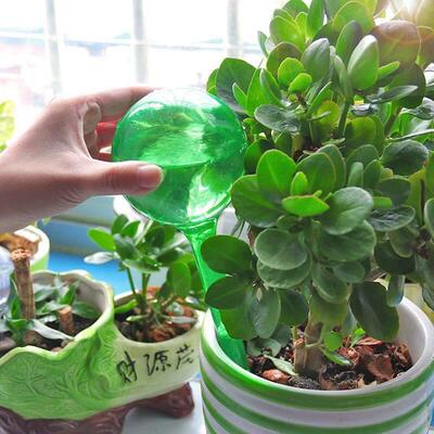 3Pcs Automatic Plant Watering Bulbs Water Cans Flowerpot Pla