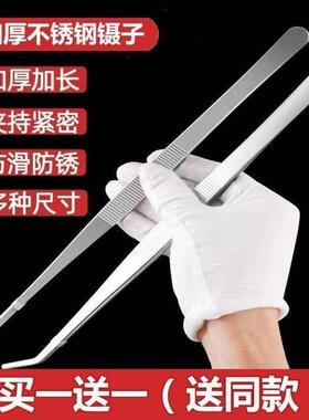 不锈钢镊子特厚加长圆头弯头鱼缸水草昆虫多肉夹子喂食取物大聂子