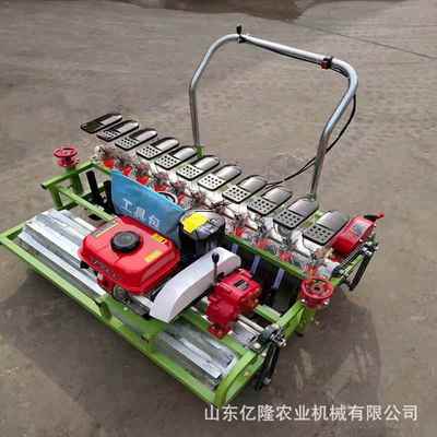 菜萝卜生菜无品牌/点播机苋菜播茴香芹菜精机大白葱洋胡葱育苗播