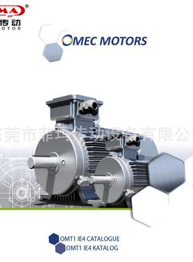 荷兰OmecMotors电动机2.2KW-230KW/高压电动机/OMT40.37KW