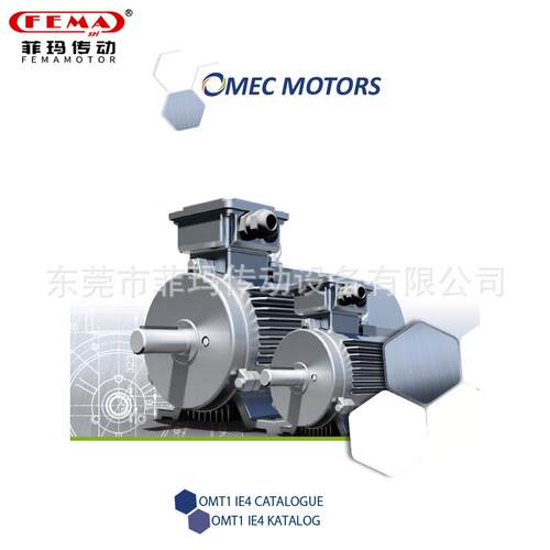 荷兰Omec Motors电动机2.2KW-230KW/高压电动机/OMT4 0.37KW