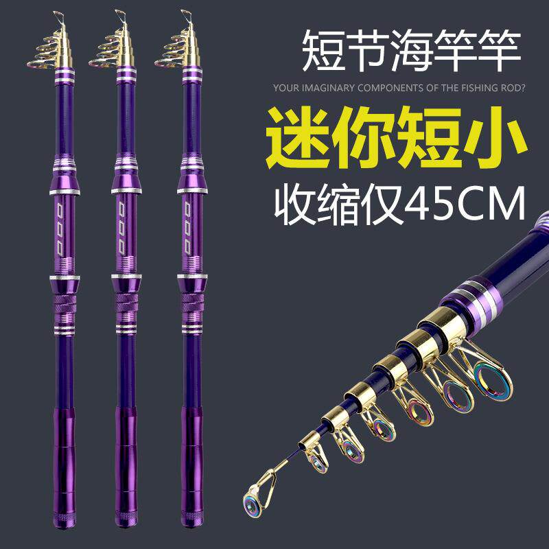 海竿短节海钓竿1.8到3米超轻超硬超短抛竿远投竿跨境渔具碳素