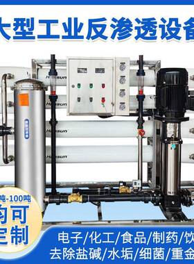 工业双级反渗透水处理设备去离子超纯水过滤净水器脱盐率不锈钢
