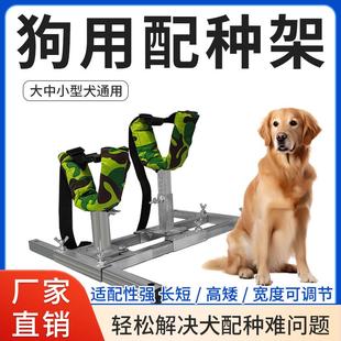 狗狗配种架配狗架子金毛打针输液配种大中小型犬固定架犬用配种架