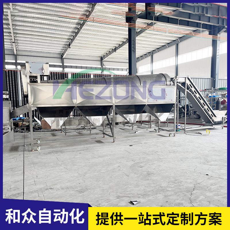 蓝莓分选机商用冻品蓝莓去柄分选机黑加仑分选机树莓滚筒分级机