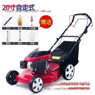 剪草机大功率打草家用 上海割草机GXV160汽油草坪机手推自走式