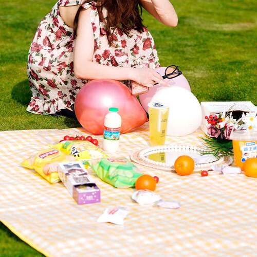 餐垫户外便携折叠防水Bdo0320露防潮加野厚爆营野餐网红款ins风野