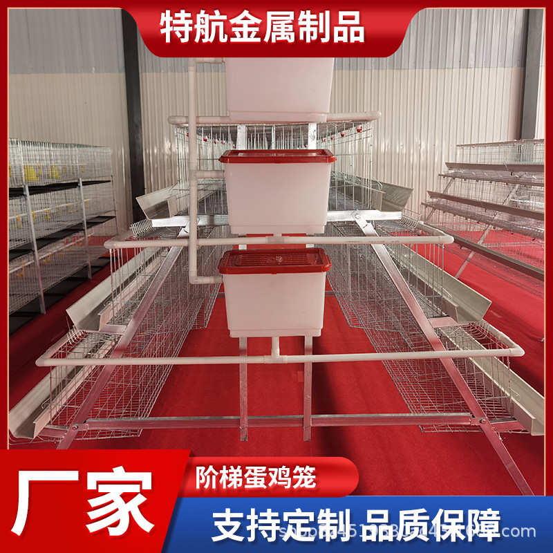 阶梯蛋鸡笼多层阶梯全自动清粪捡蛋喂料简单加背负式喂料机捡蛋机