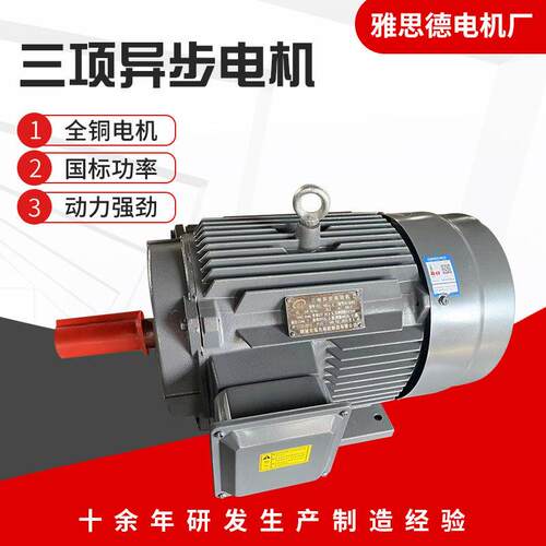 定制三相异步交流电机YE3-100L-2极3.0W全铜芯380V三相电动机