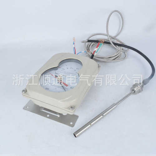变压器油面温度控制器 BWY-802ATH杭州华立WTYK-802ATH油面温控仪