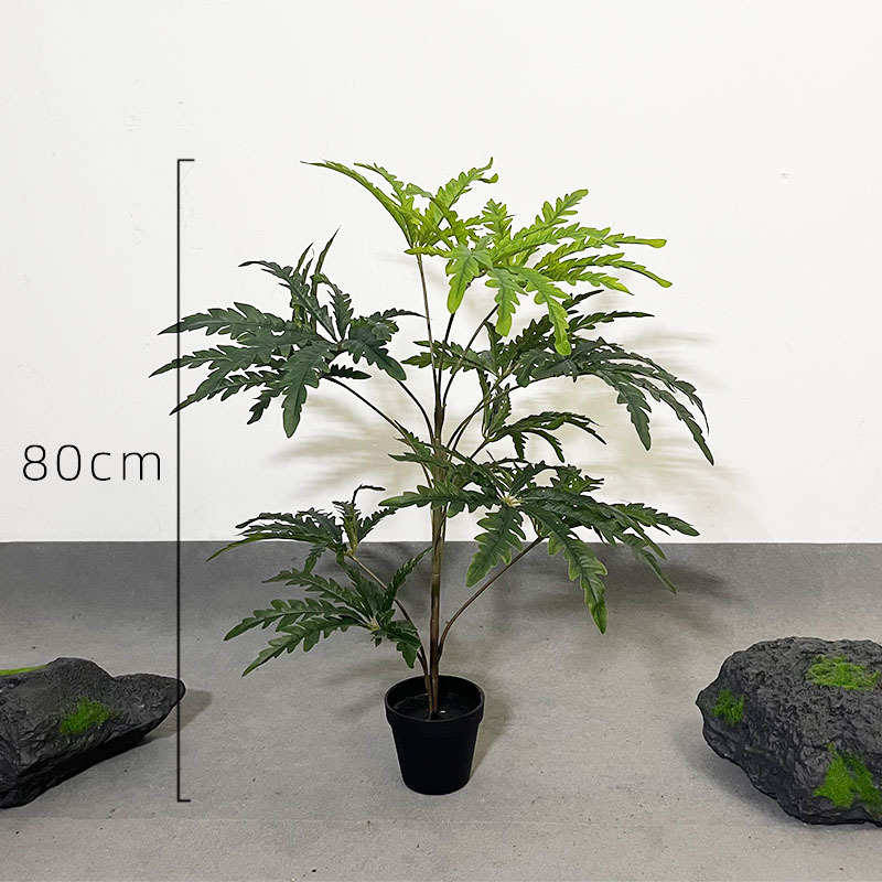 盆绿热销新款橱窗爆物孔雀木北欧栽树仿真款陈绿植假植植美服装