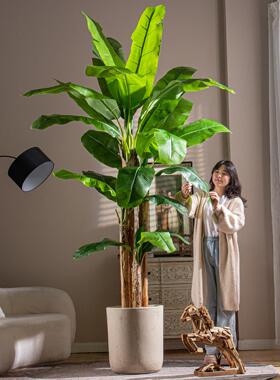 高端芭蕉树彷真绿色植物室内大型彷生氛围树假树植物盆栽造景装饰