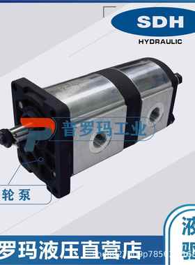SDH齿轮泵液压泵油泵CBTs-F312/316F1Z1CBTs-F320/325F1Z1