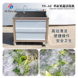 浙江小型洗菜机中央厨房单缸清洗机 葡萄杨梅清洗机 净菜设备