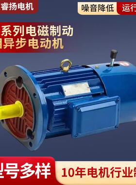 YEJ电磁制动电动机4w5.5w2极减速电机7.5w11-15w刹车电机