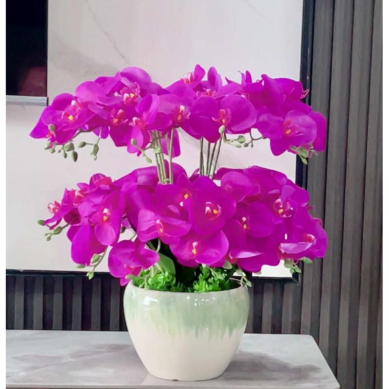包邮蝴蝶兰花艺盆栽干花套装饰假花绢花客厅餐桌摆设摆放花卉