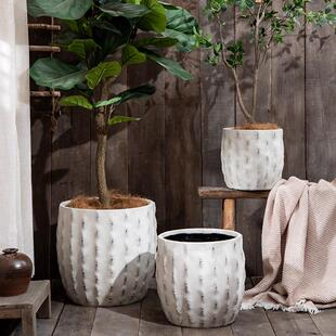 仙人掌造型镁泥大口径花盆仿古白色落地大花器摆件孟加拉树琴叶榕