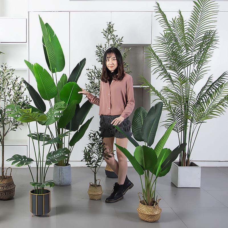 仿真树植物绿植盆栽室内客厅大型假盆景落地摆件天堂鸟仿真旅人蕉