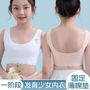 12少女款 学生女童9 文胸固定杯一阶段儿童小背心发育期初中生内衣