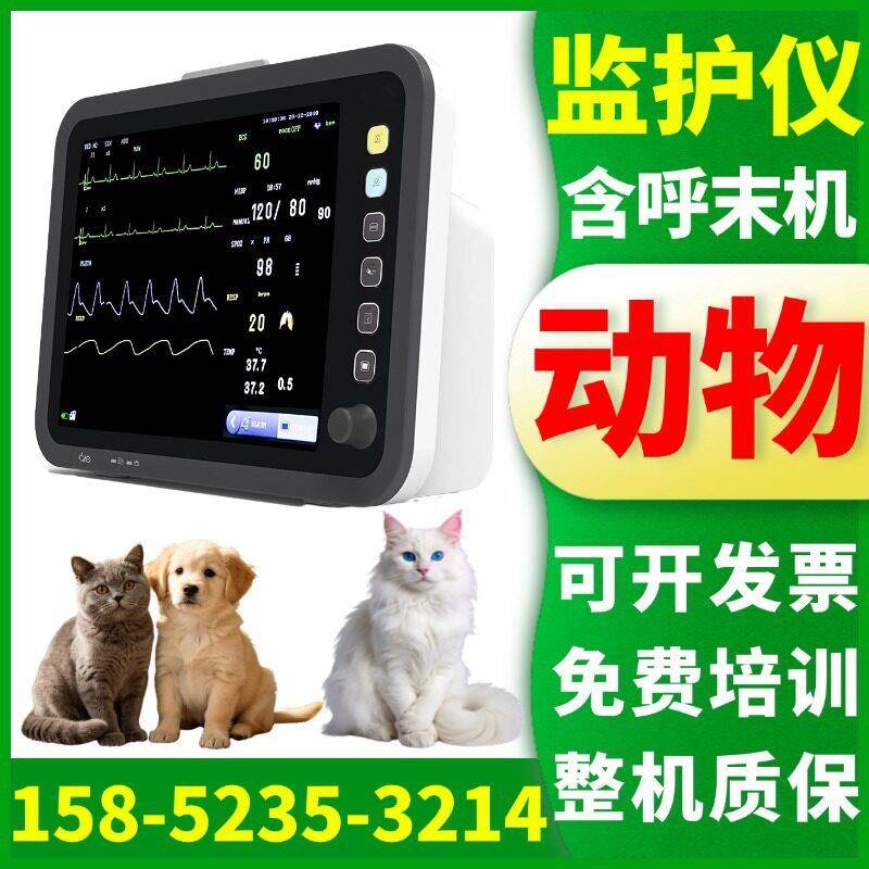 厂家直销 便携式兽用监护仪 犬猫通用心率呼吸体温监测心电检测仪
