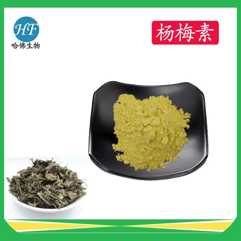 杨梅素98%藤茶提取物杨梅黄酮哈佛现货供应