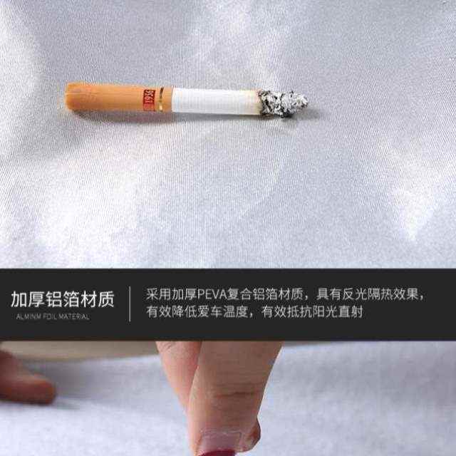 适用斯维驰老人代步车四轮车衣电动残疾人车衣罩防水防晒防尘盖布