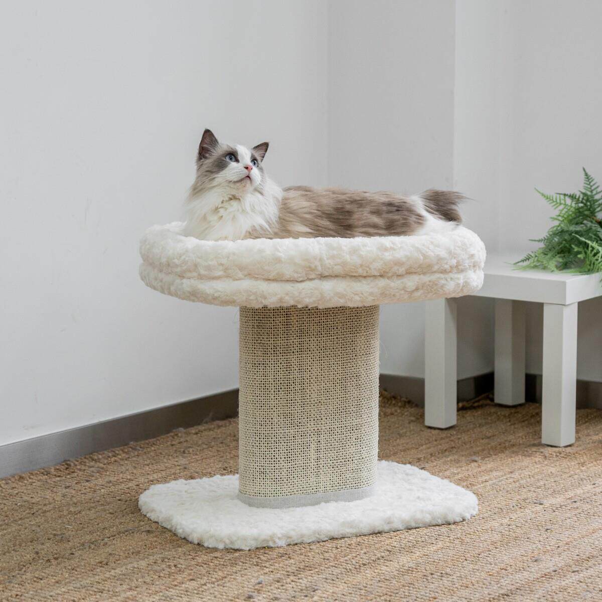 肥猫大床可拆洗猫窝猫树猫爬架一体大型猫布偶缅因攀爬猫剑麻抓板