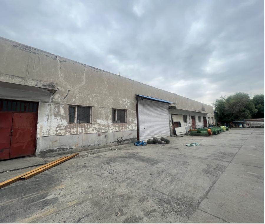 1月24日石河子房产及土地使用权、配套设施、机器设备及其他相关资产网络拍卖公告