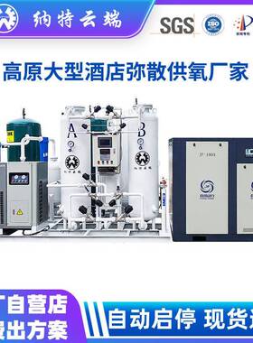 大型PSA高原酒店制氧机30立方制氧机民宿变压吸附制氧设备厂家