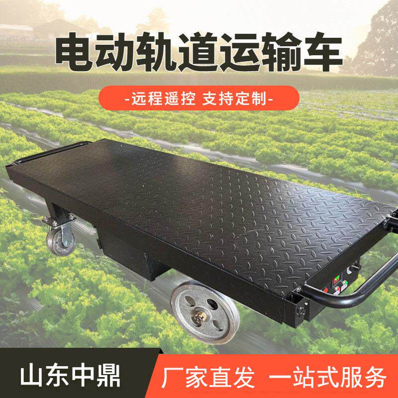 小型货运轨道电动小火车遥控运输车运菜车温室大棚拉菜车农用车