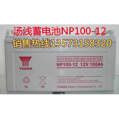 YUASA汤浅蓄电池NP120-12铅酸免维护12V120AH UPS/EPS电源 太阳能