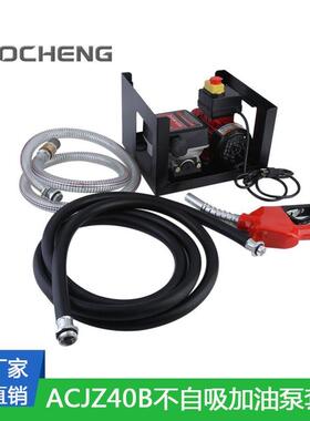 厂家供应12V24V220V车载加油泵流量40升每分钟可移动式小型加油泵