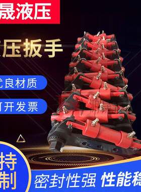 液压扳手泰州液压-供应力矩放大扳手/加力扳手/液压扳手