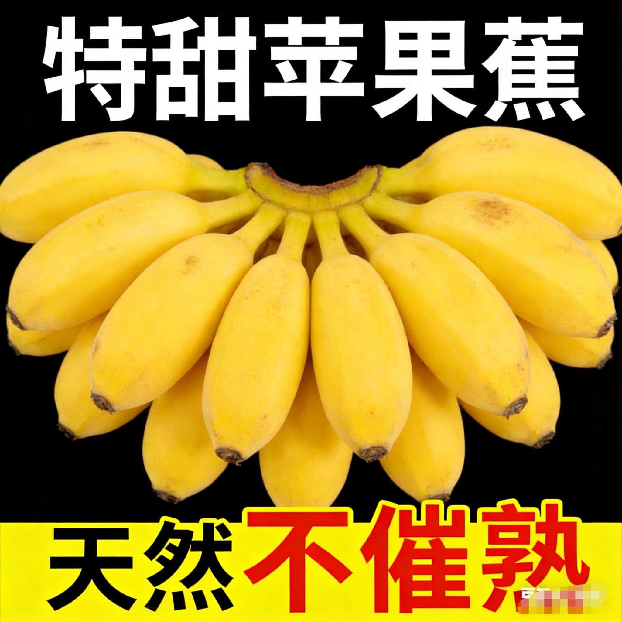 苹果蕉农家种植小香蕉肉质绵密清甜好吃生鲜果