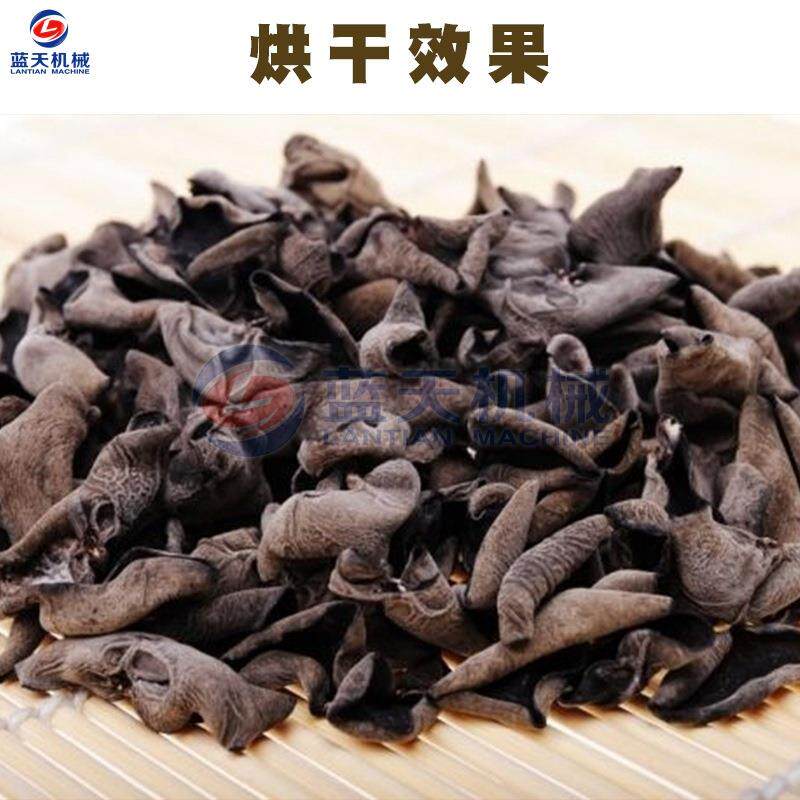 木耳烘干机空气能 东北秋木耳黑白木耳烘干房 木耳丝烘干设备商用