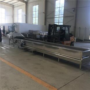 大型 提子清洗设备 黄花菜清洗流水线 厂家 杨梅清洗机