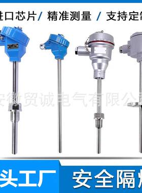 供应WZPK-296铠装热电阻pt100 -200~500（℃）A/B级 热工仪表